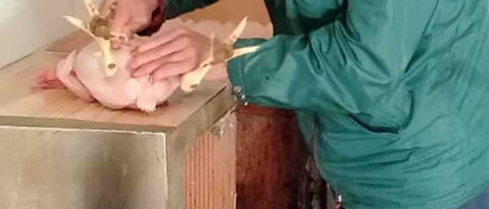 260902171_967292137500985_4023194193199979987_n_967292134167652